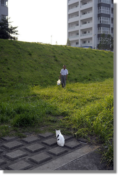 うちのとらまる