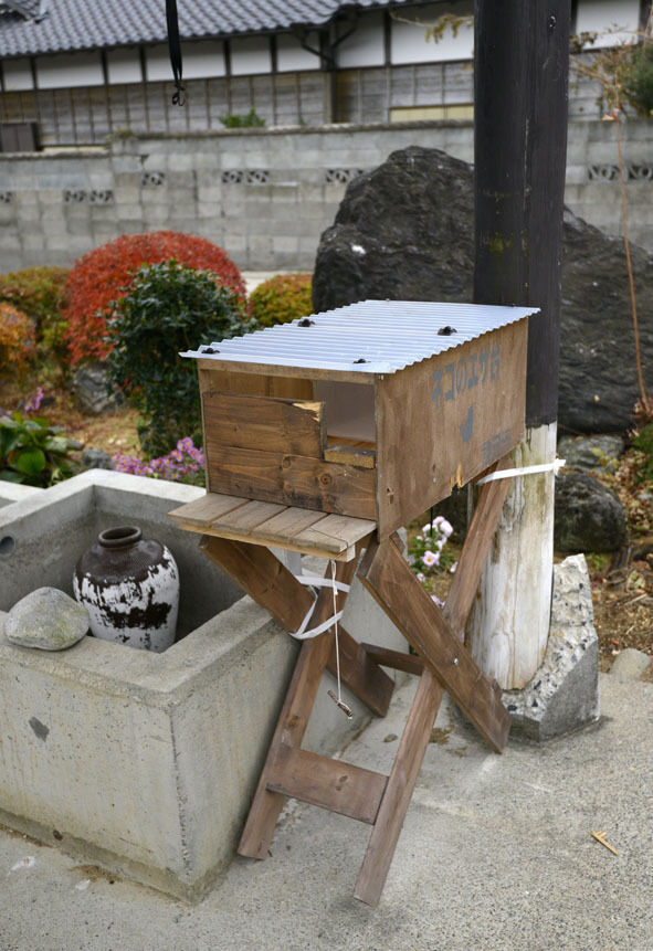うちのとらまる