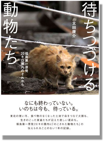 うちのとらまる