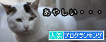 うちのとらまる