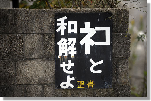 うちのとらまる
