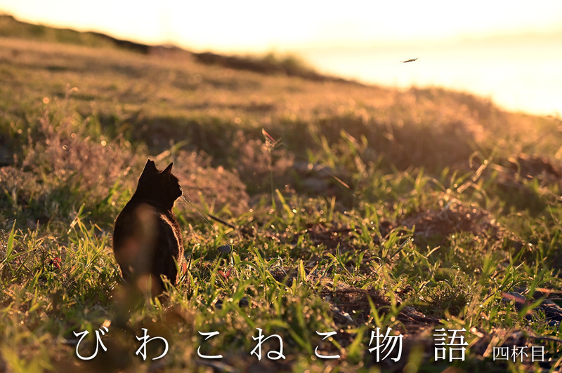 lクロサビタイトル02