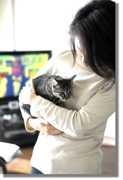 うちのとらまる