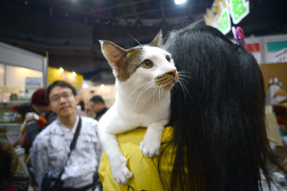うちのとらまる
