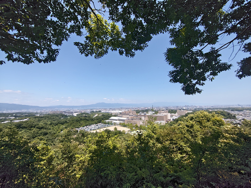 l260709111632823