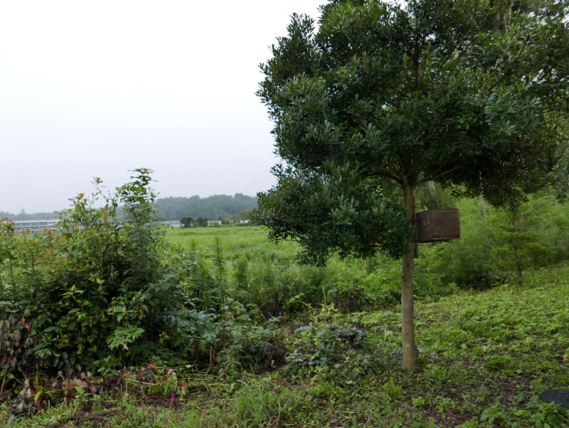 l1270668