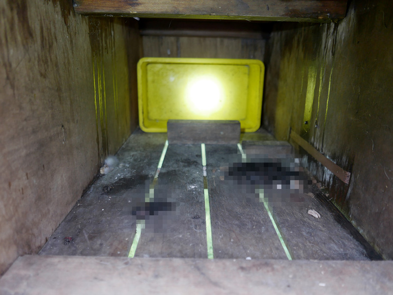ll1270677