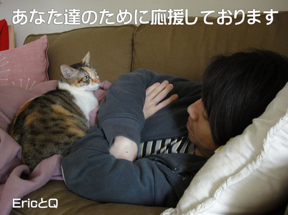 うちのとらまる