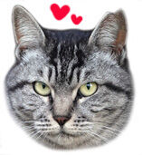 スモールさとちゃん02