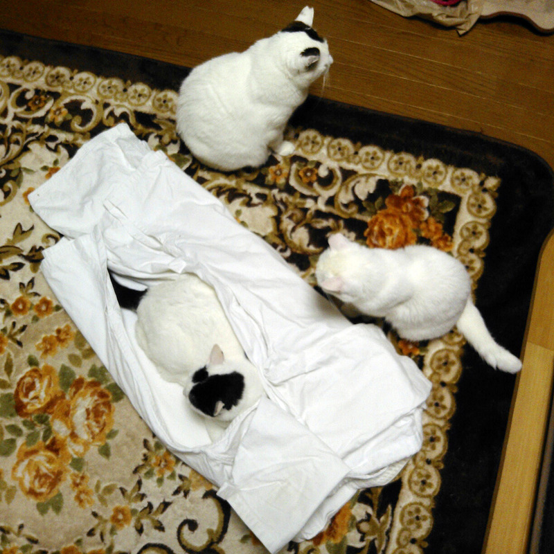 l2013-05-08-18-51-02_photo