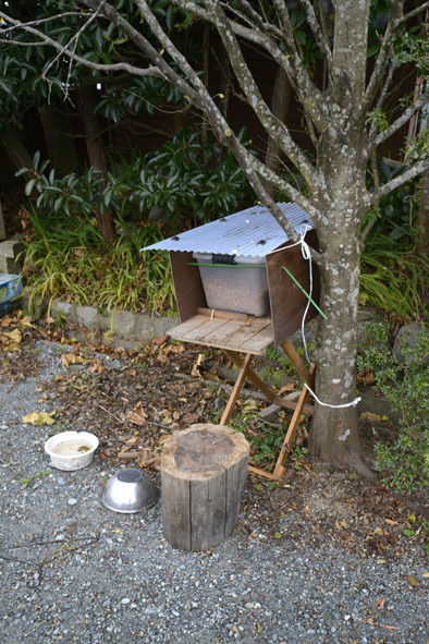 うちのとらまる