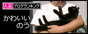 うちのとらまる