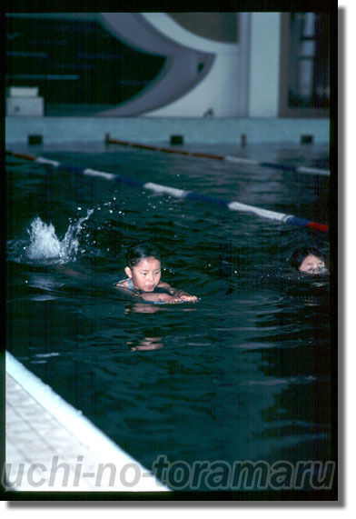 うちのとらまる