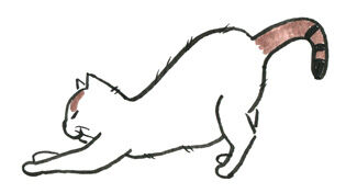 スモール伸び001