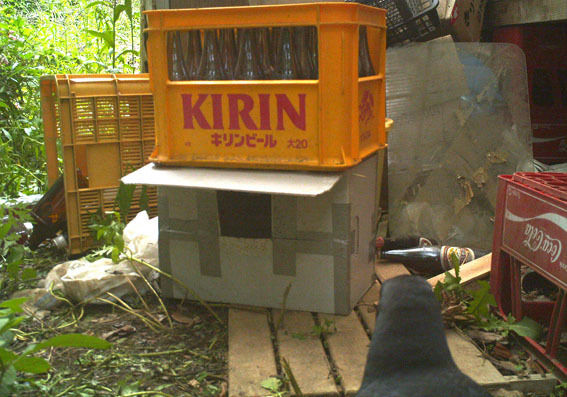 うちのとらまる