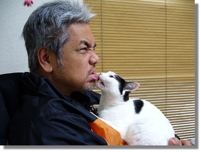 うちのとらまる