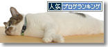 うちのとらまる