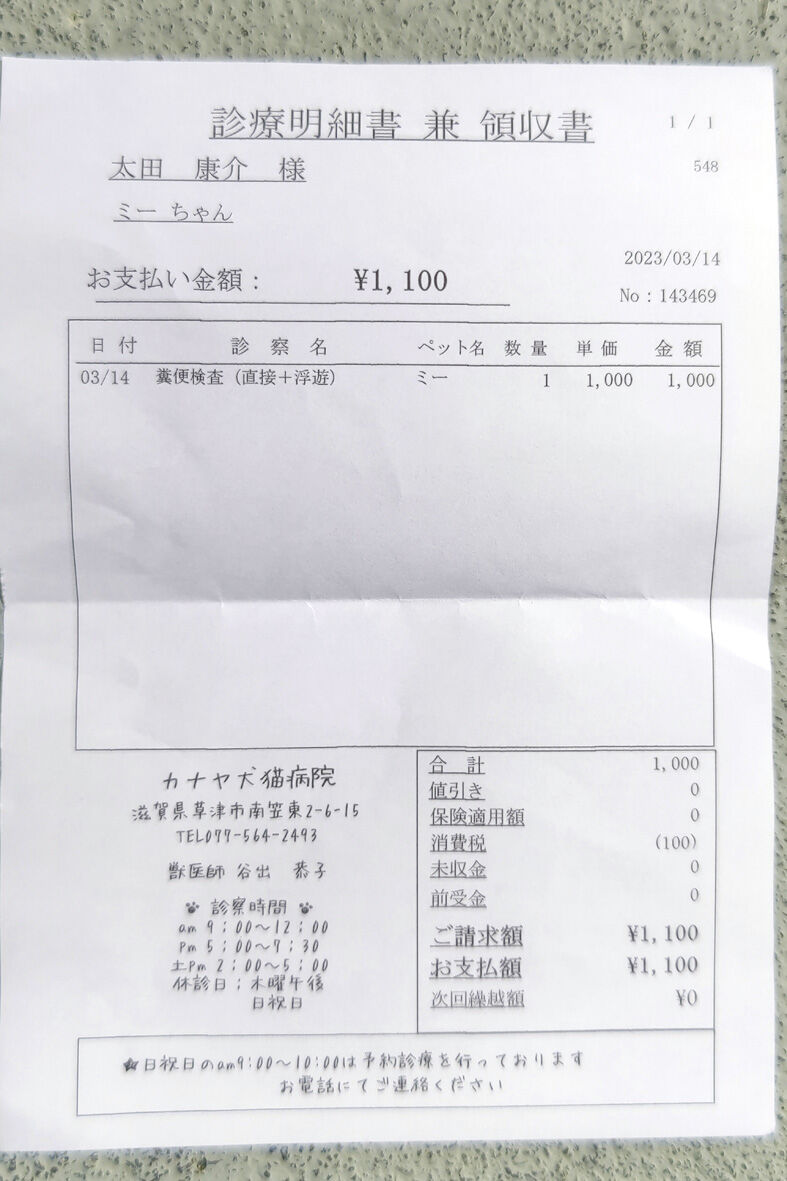ミーチャ20230315