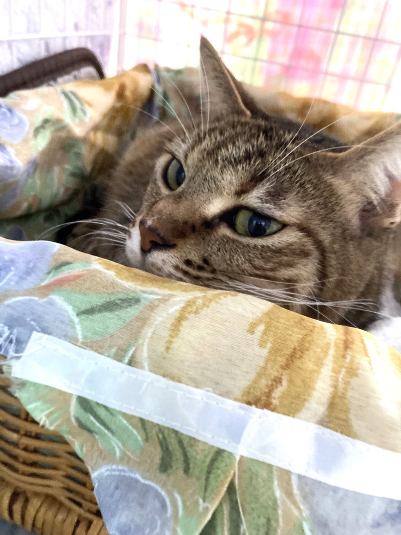 ll08723CD7-1BC2-4ED3-902B-DB47B1C46D8C