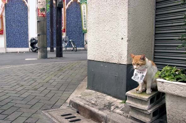 $うちのとらまる