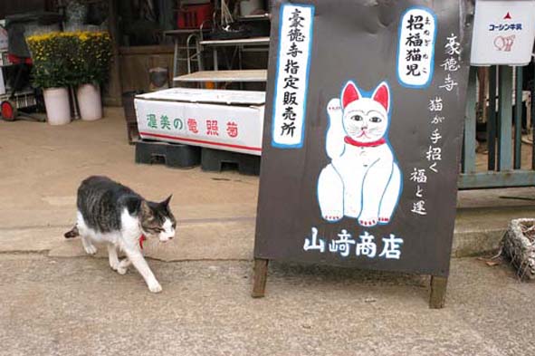 うちのとらまる