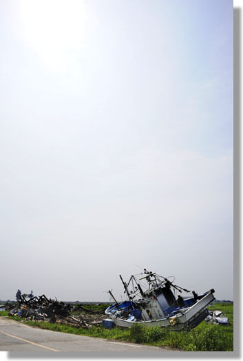 うちのとらまる