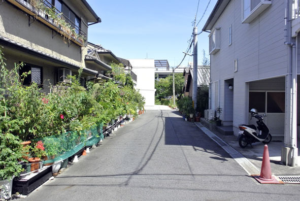 うちのとらまる