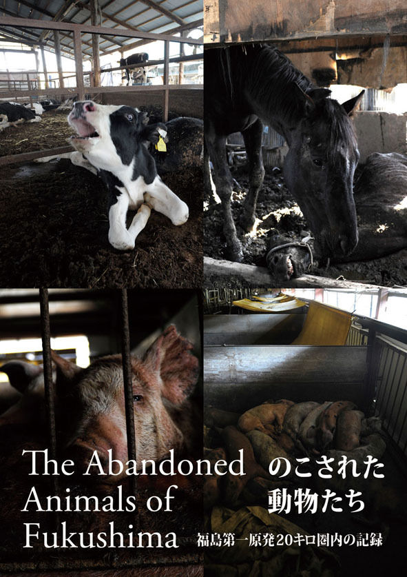 うちのとらまる