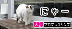 うちのとらまる