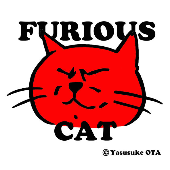 lFURIOUSCAT01