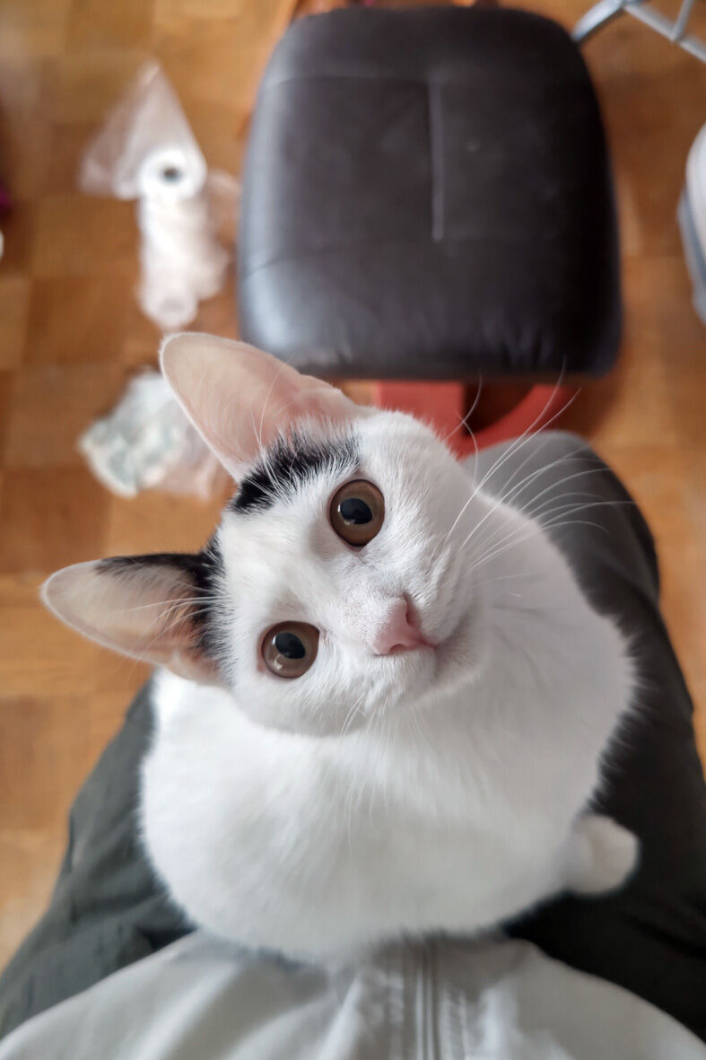 l0001_BURST20230423162720190_COVER