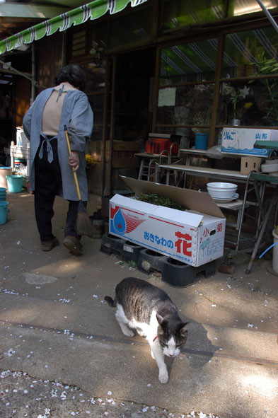 うちのとらまる