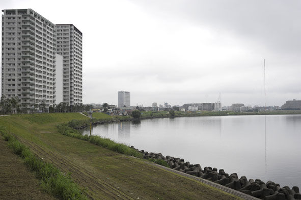 うちのとらまる