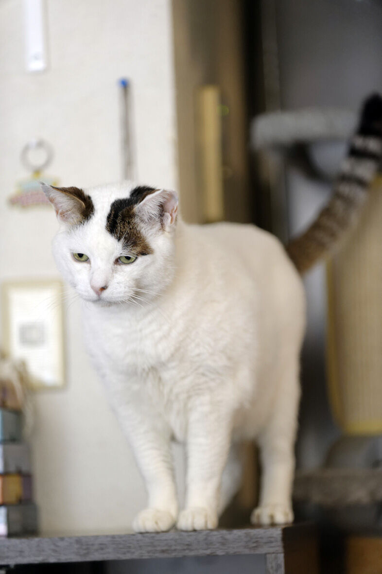 l4508_DxO