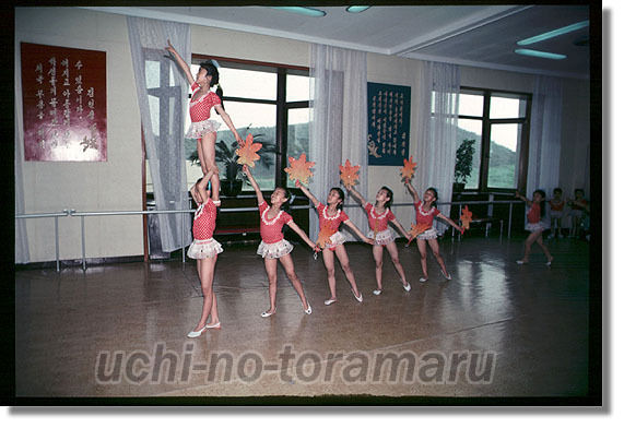 うちのとらまる