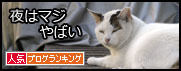 うちのとらまる