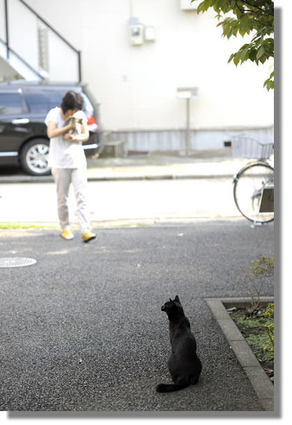 うちのとらまる