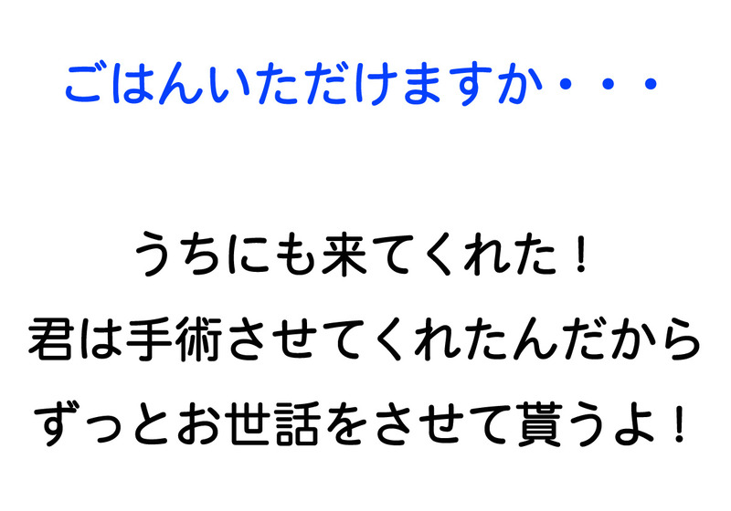 ごはんいただけ