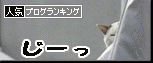 うちのとらまる