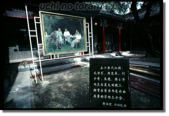 うちのとらまる