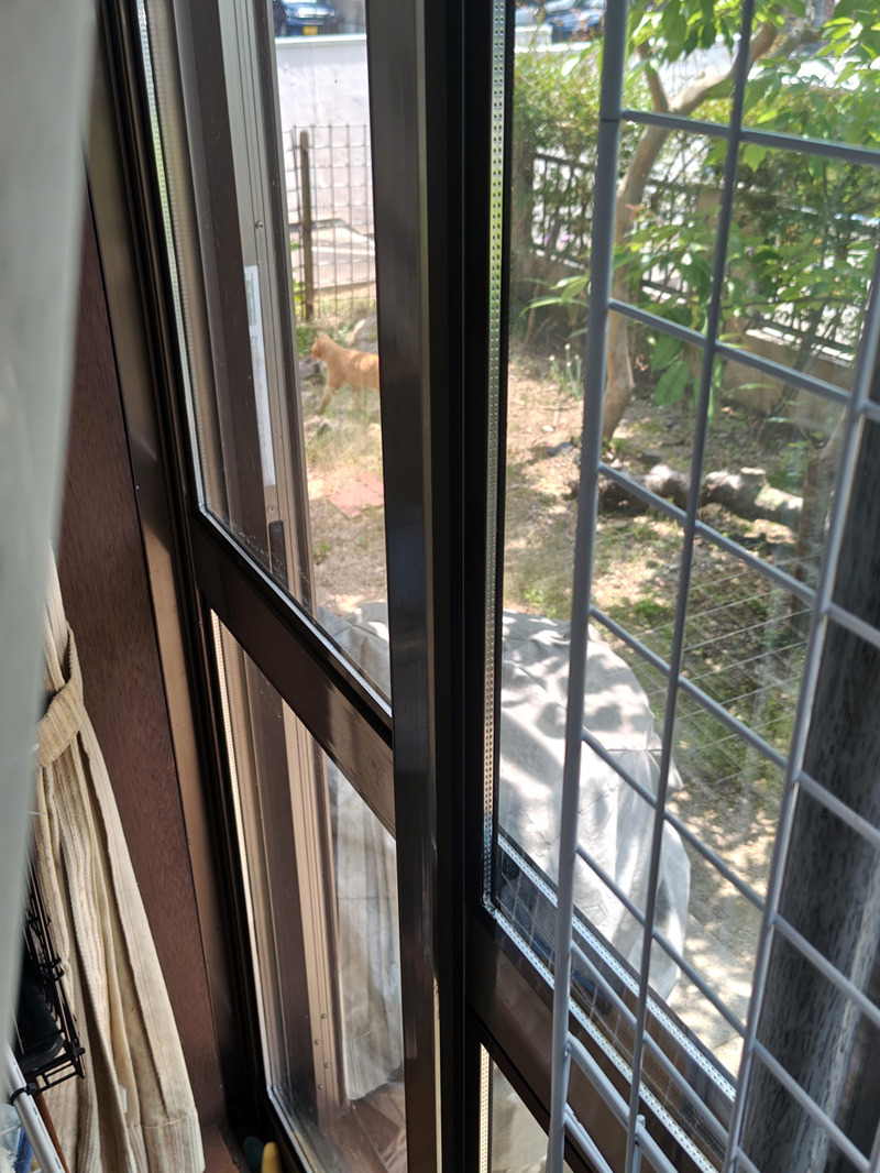l260516122510073