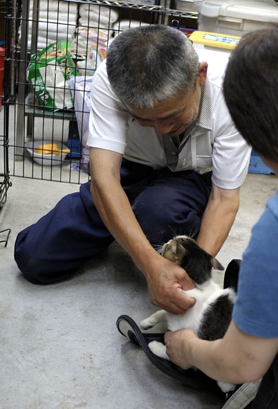 うちのとらまる
