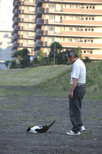 うちのとらまる