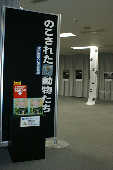 うちのとらまる