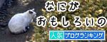 うちのとらまる