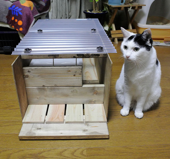 うちのとらまる
