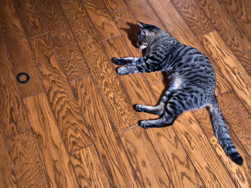 l260707203744338