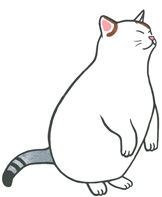 スモールごはんあるかな02