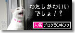 うちのとらまる
