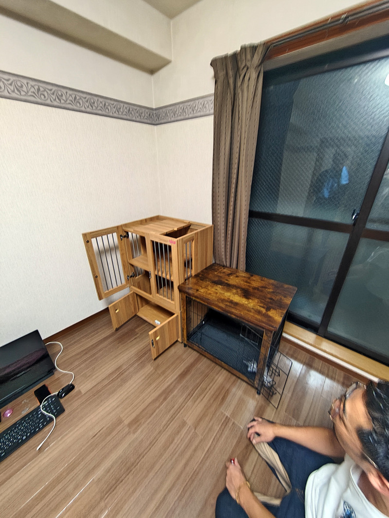 l251009215753288